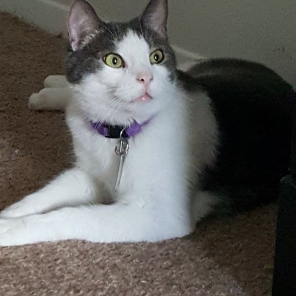 Meet your Posher, Lisa - Picture 15 of 16